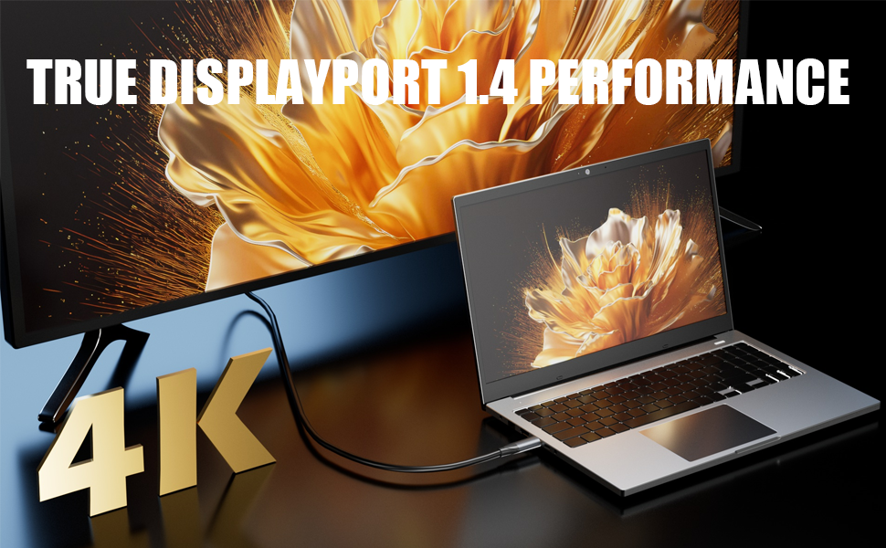 USB-C to DisplayPort 1.4 Cable