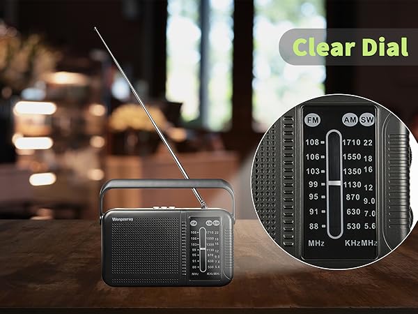 The D219 radio has a clear dial