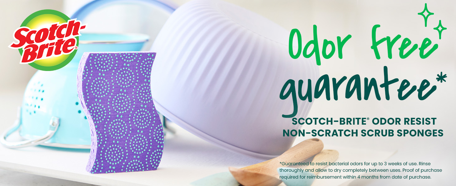 Scotch-Brite Odor Resist Non-Scratch
