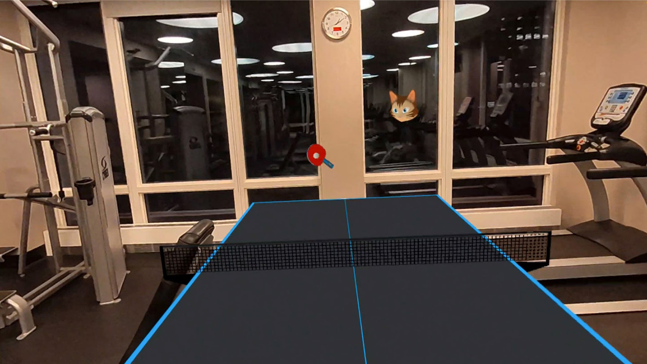 Meta - Eleven Table Tennis