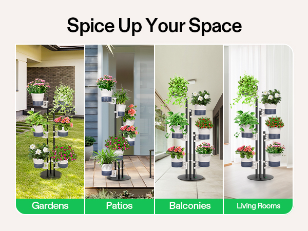 spice up your space