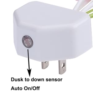 Sensor