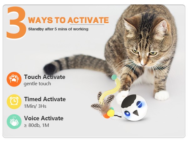 cat toy