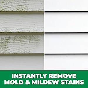 Mold Stain Removal