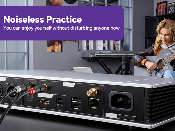 RCA to 1/4 adapter with Lossless audio quality