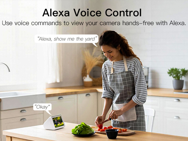 wifi cameras without subscription;outdoor security camera no subscription;porch camera