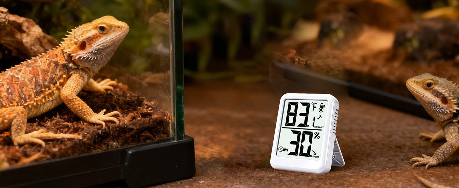 Room Thermometer Indoor