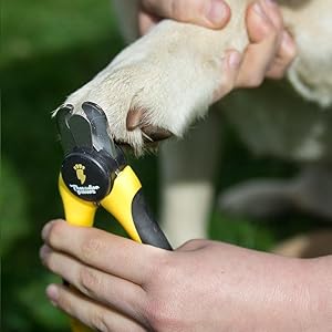 Designed With Safety In Mind