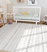 4x6 area rug