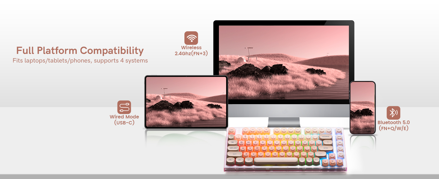 WIRELESS &amp; WIRED