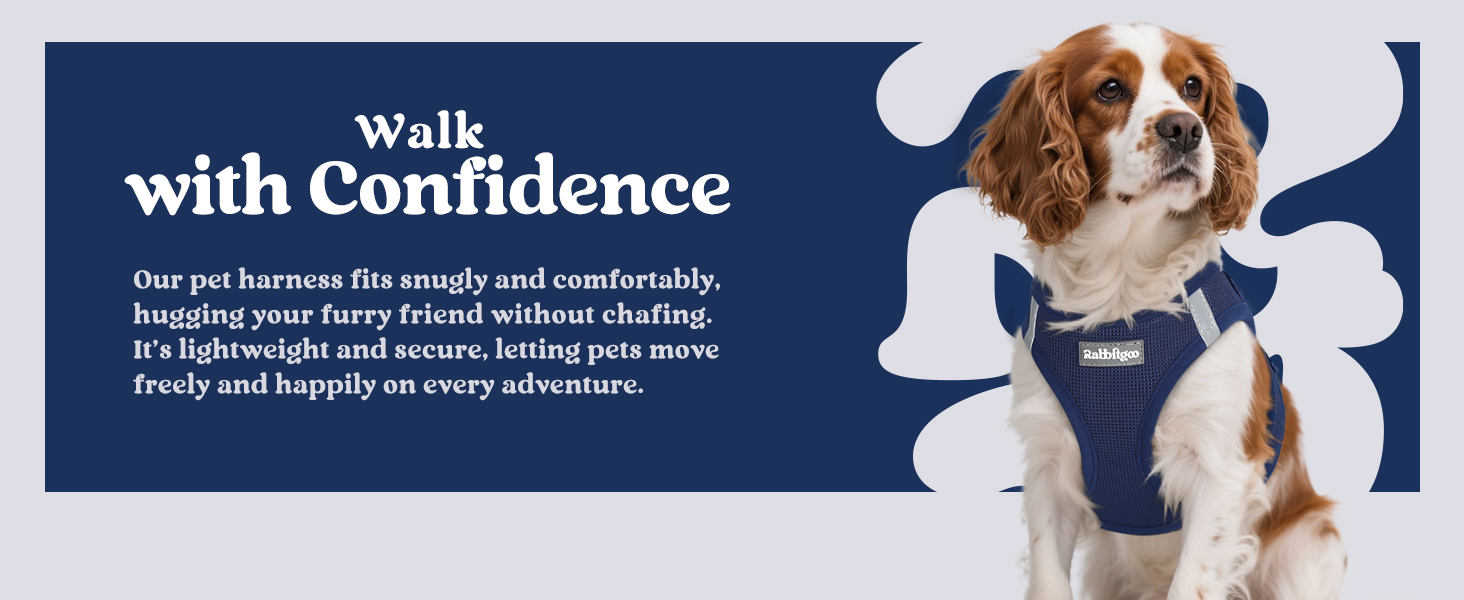 navy blue harness for small dogs