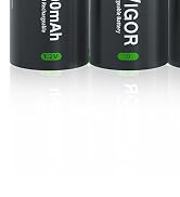 Rechargeable D Batteries
