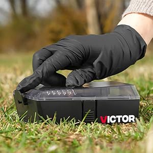 The Victor Catch &amp; Hole Mouse Trap is safe for people and pets