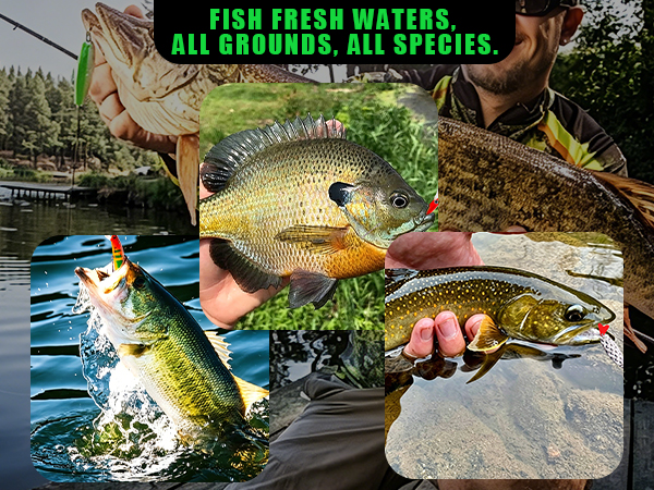 Ideal Fishing Gift for All Skill Levels