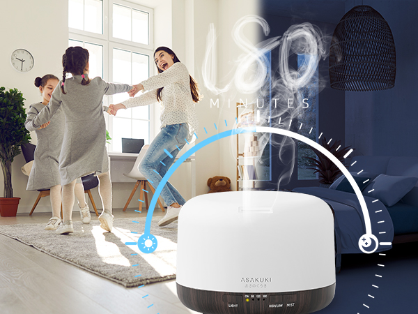 air humidifier with timers