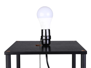 LED Bulb