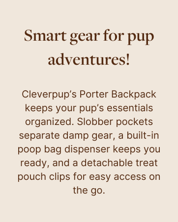 porter backpack