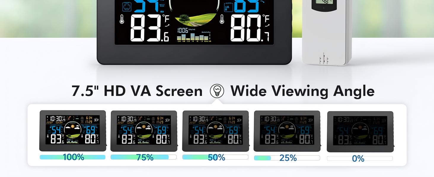 WS2
