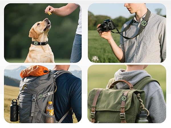 dog airtag holder