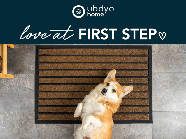 door mat low profile corgi dog