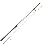 KastKing Kong Saltwater &amp; Freshwater Fishing Rod, Powerful, Lightweight S-Curve Graphite Rod Blan...