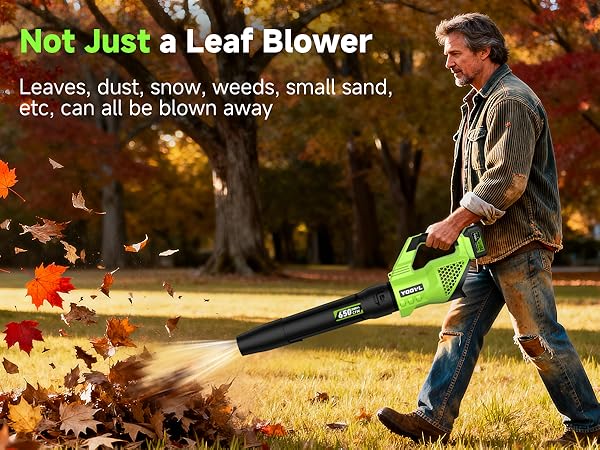 cordless blower