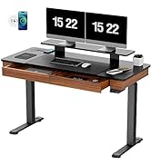 EUREKA ERGONOMIC Electric Standing Desk with 2 Drawers, 55" Dual-Motor Height Adjustable Sit Stan...