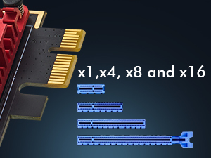 1-Port 2.5G Network Adapter