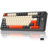 ZIYOU LANG M75 Wireless Gaming Keyboard, RGB Backlit Rechargeable 2000mAh Battery, Small Membrane...