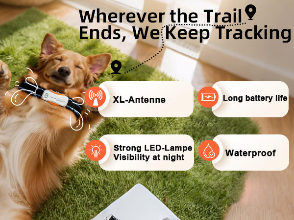 dbdd tacker for dogs