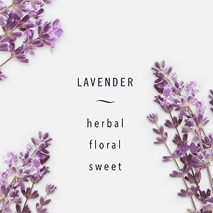 Febreze Light Lavender - Herbal, Floral, Sweet