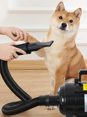 Dog Hair Dryer