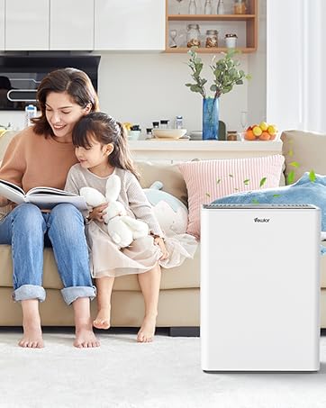 large room air purifier