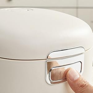 rice cooker small