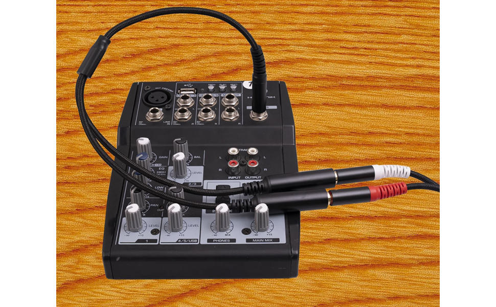 1/4 TRS male to 2 female