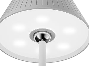 Sunturalux LED Light Source