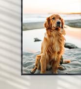 YMOO B06T3 Bluetooth 5.3 Receiver, 100ft RCA Bluetooth Audio Adapter for 3.5mm Jack AUX HiFi Home...