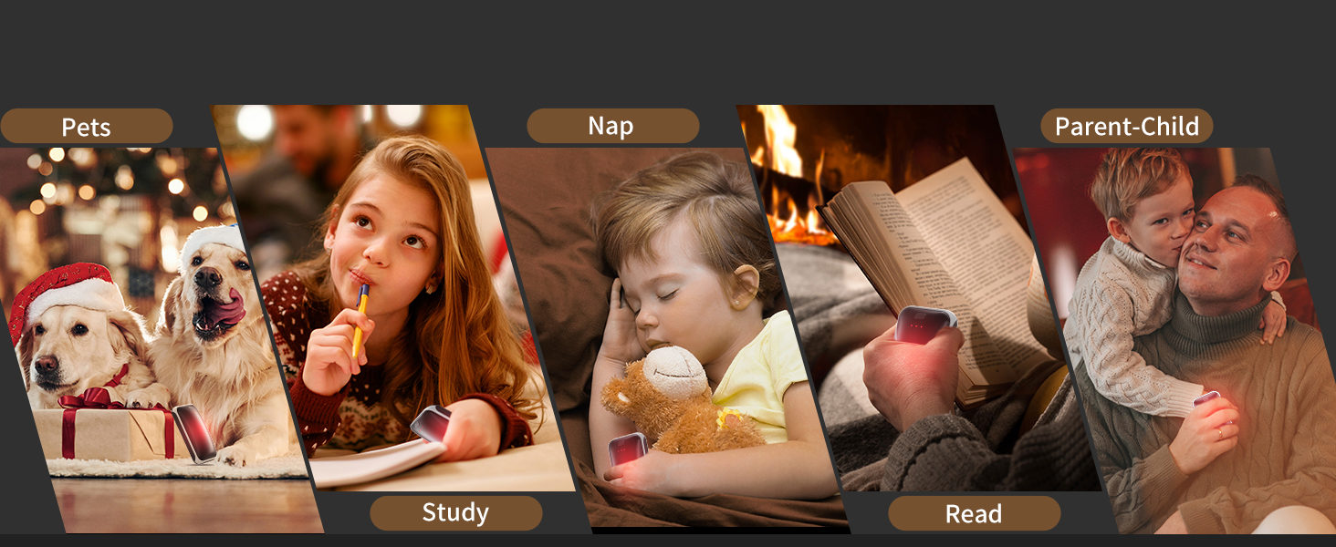 pets cat dog study nap sleeping reading parent child indoor warmth office desk school essentials