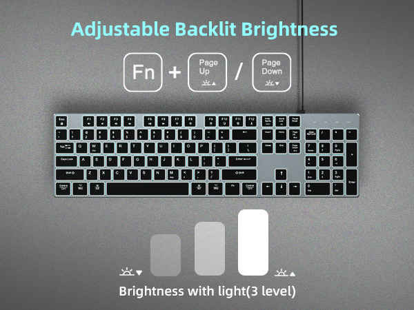 adjustable backlit brightness