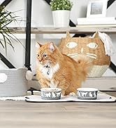 Cat eating out of gray food bowl