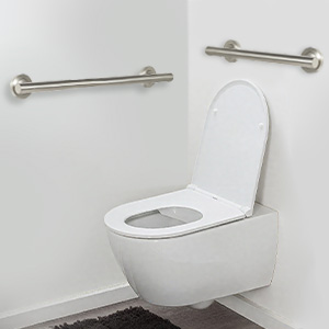 grab bar toilet