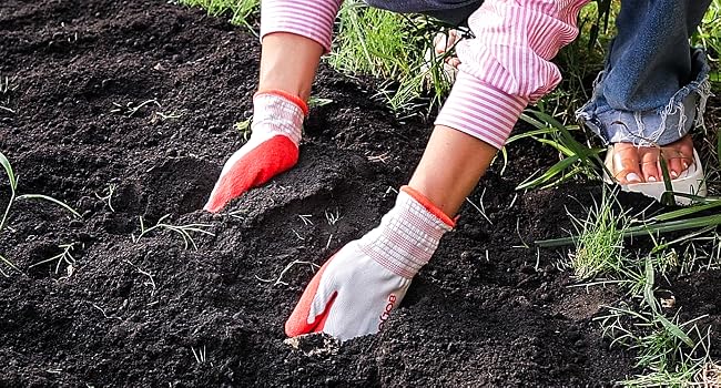 gardening 3