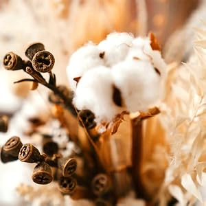 Cotton Swabs