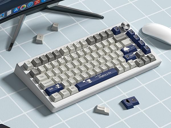 keybaord keycaps
