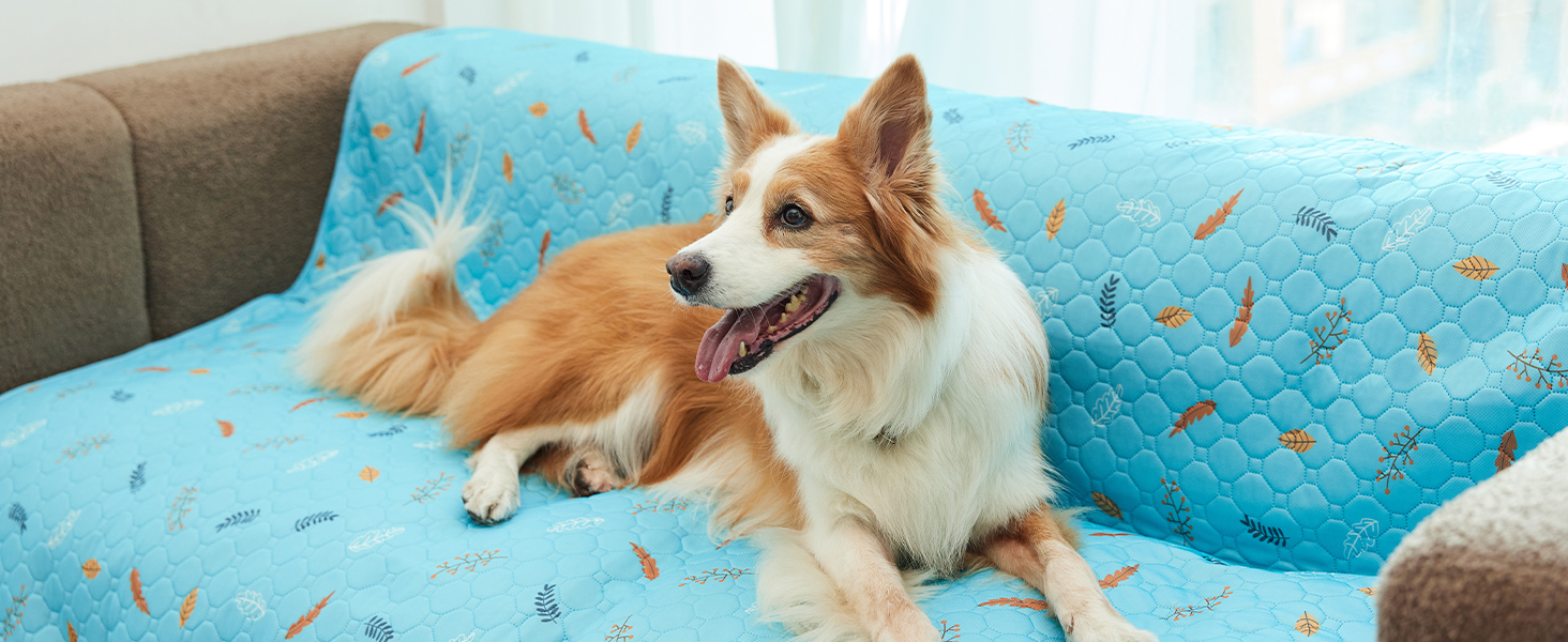 Couch Cover