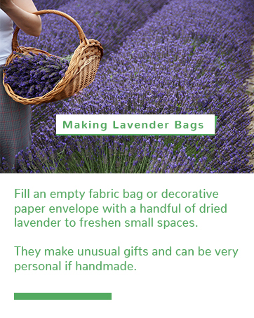 Making Sachet: Fill an empty fabric bag with a handful of dried lavender to freshen small spaces.