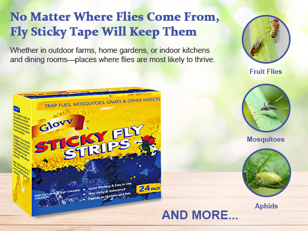 fly tape
