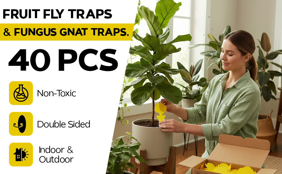 Fruit fly traps and Fungus gnat traps for indoor and outdoor