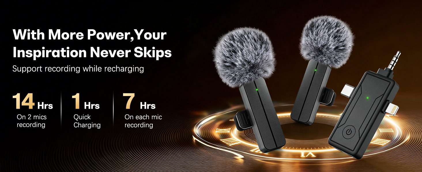 mini mic