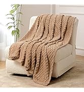 FY FIBER HOUSE Fleece Throw Blanket for Couch 300GSM Super Soft Plush Fuzzy Blankets Lap Blanket ...